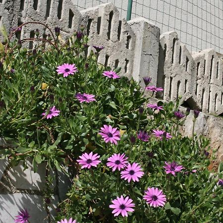 Apartments Paradiso PUY 외부 사진